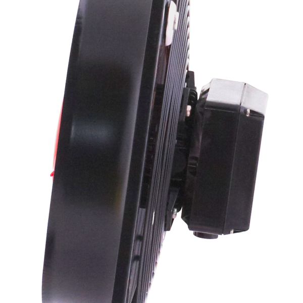15954